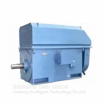SeeLong 6000 Rpm% 0,2 FS Tork Dinamometresi